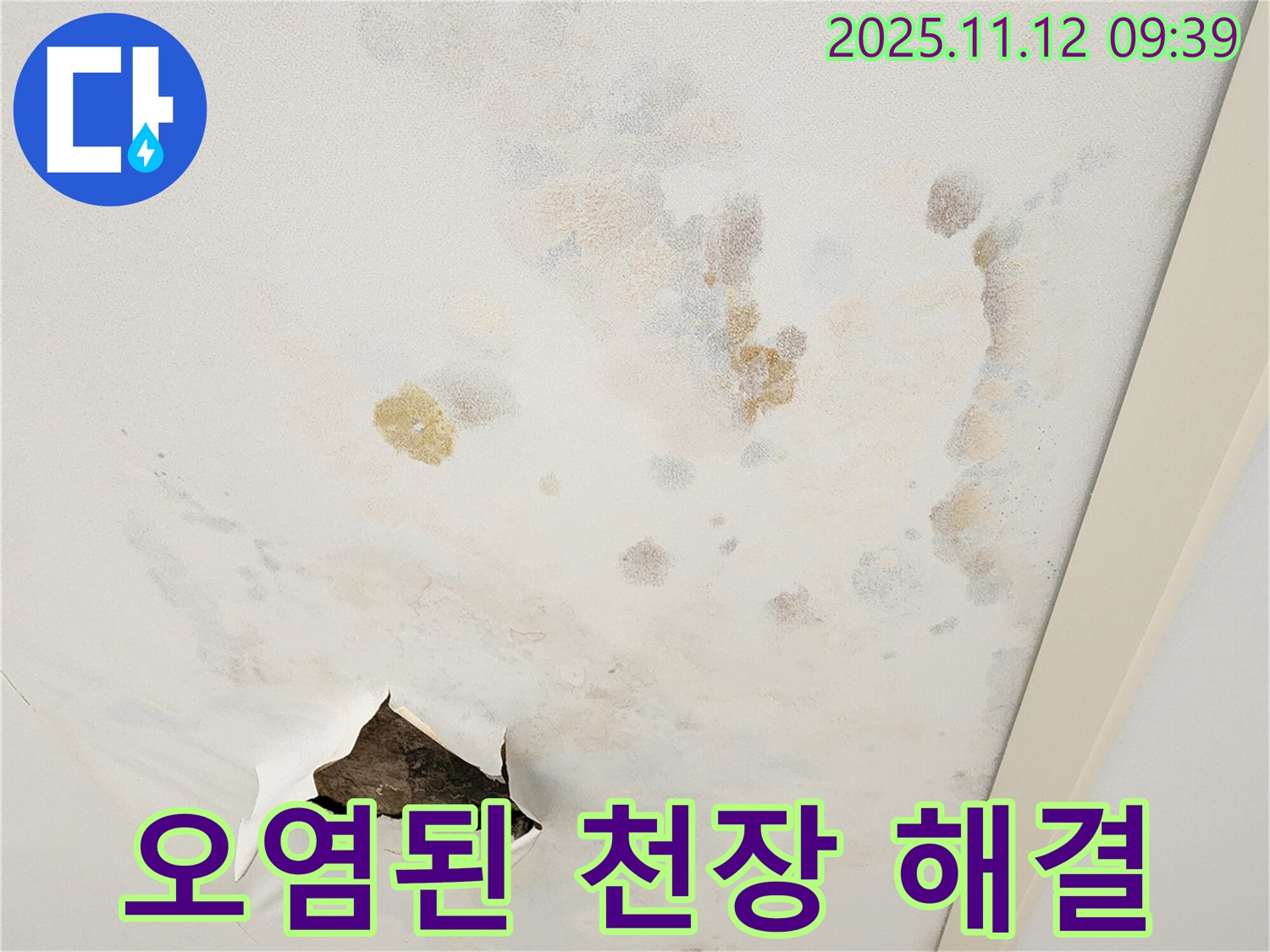 오염된 천장 - 빠른 해결 - 쾌적한 환경