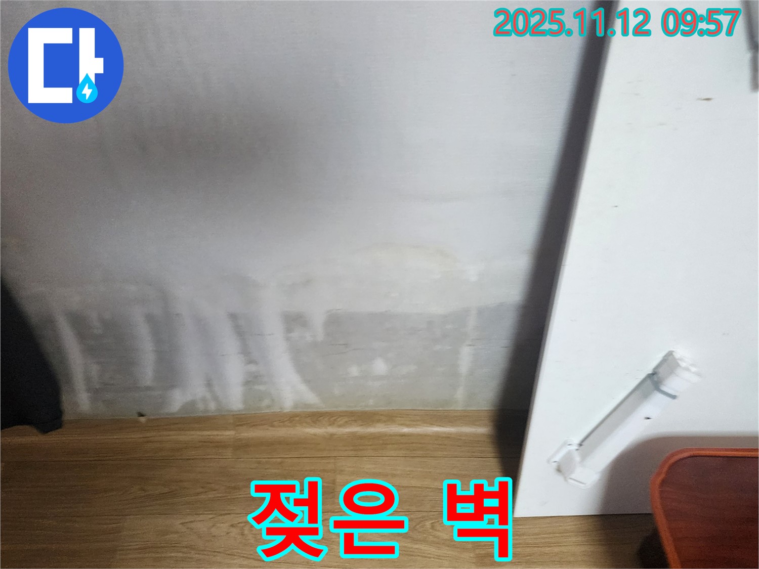 젖은 벽 - 곰팡이 냄새 - 건강 적신호