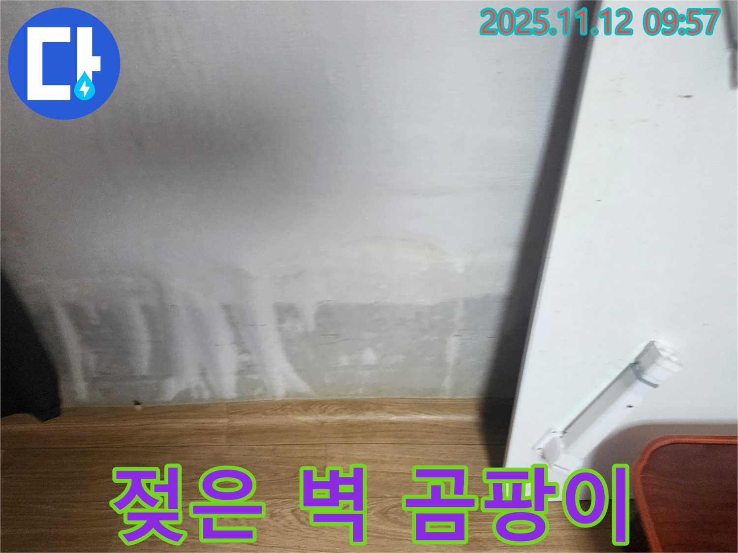젖은 벽 - 곰팡이 번식 직전 - 빠른 조치