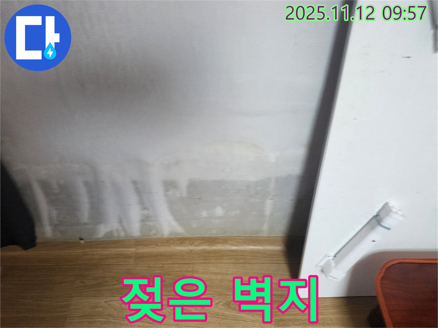 젖은 벽지 - 곰팡이 발생 - 건강 위협