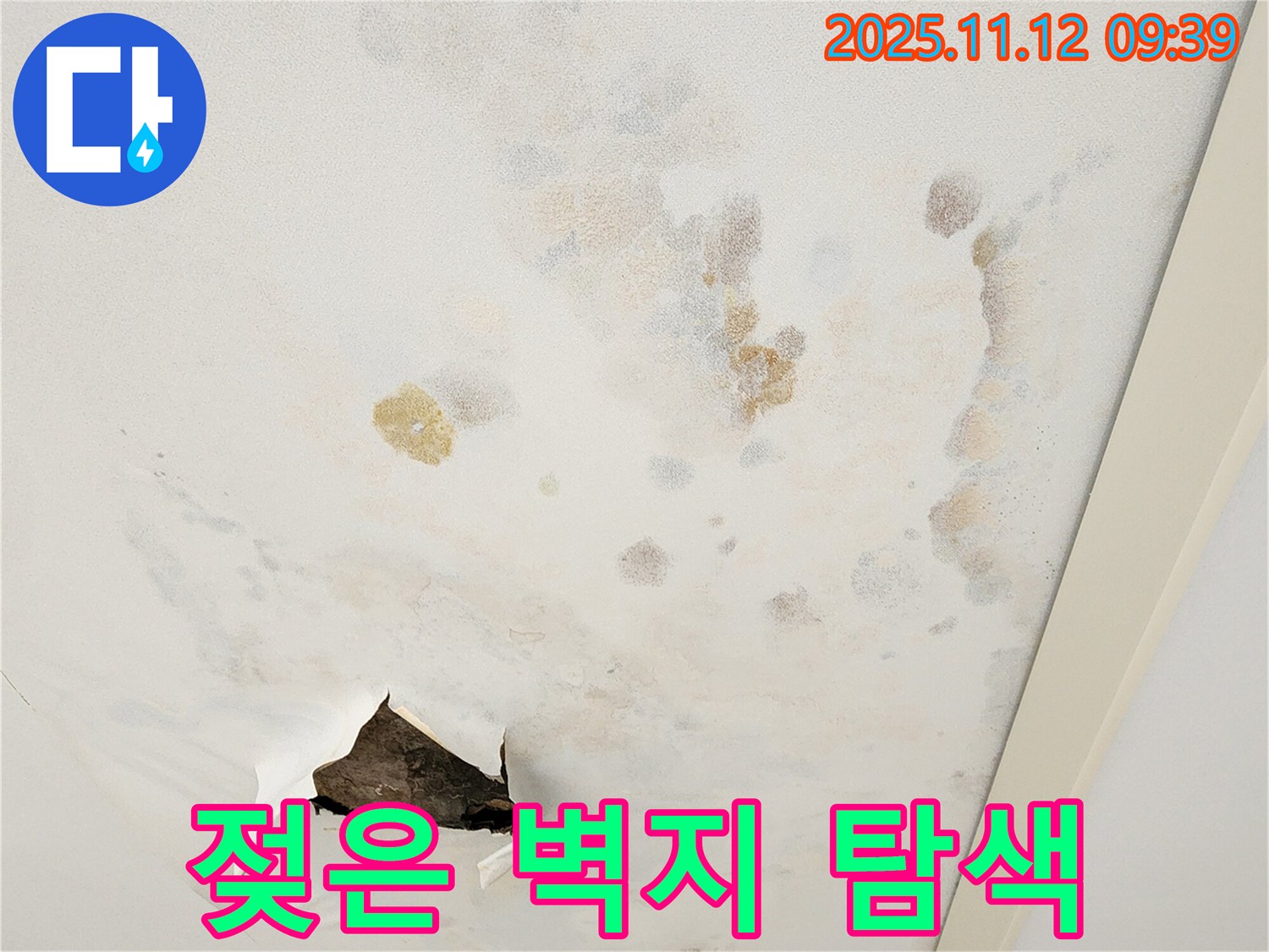 젖은 벽지 - 누수 지점 탐색 - 첨단 장비
