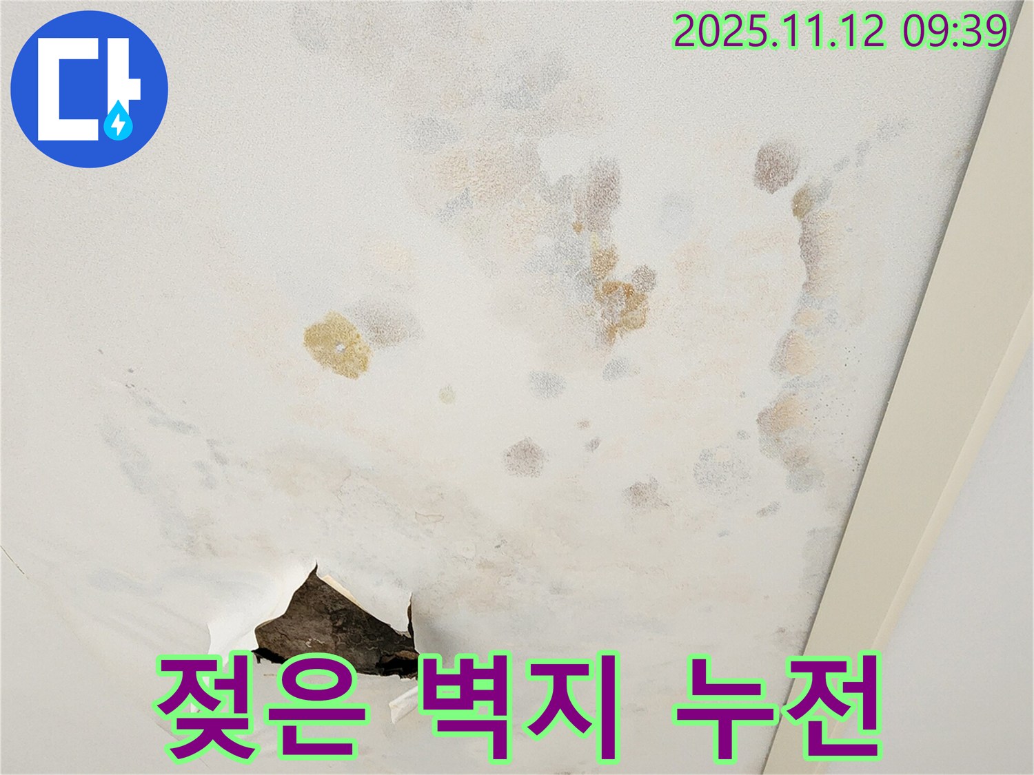 젖은 벽지 - 누전 위험 - 전기 안전 점검