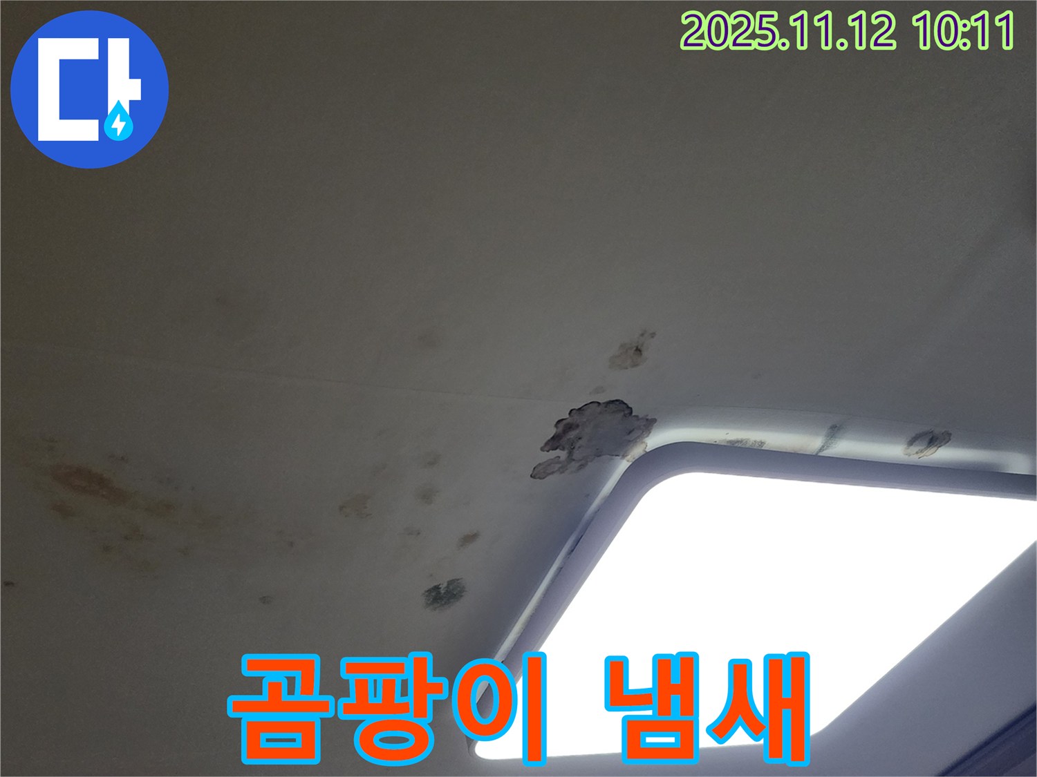 젖은 천장 - 곰팡이 냄새