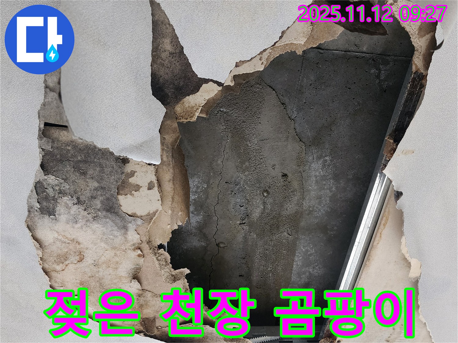 젖은 천장 - 곰팡이 번식 시작, 긴급 해결!