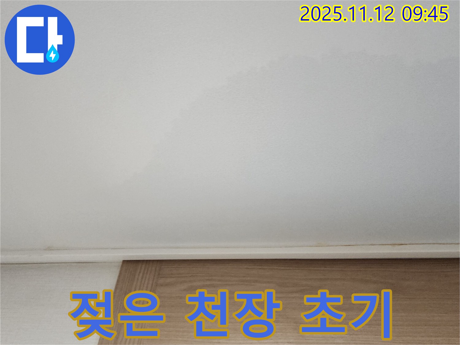 젖은 천장 - 누수 초기 증상일 수 있으니 주의하세요.