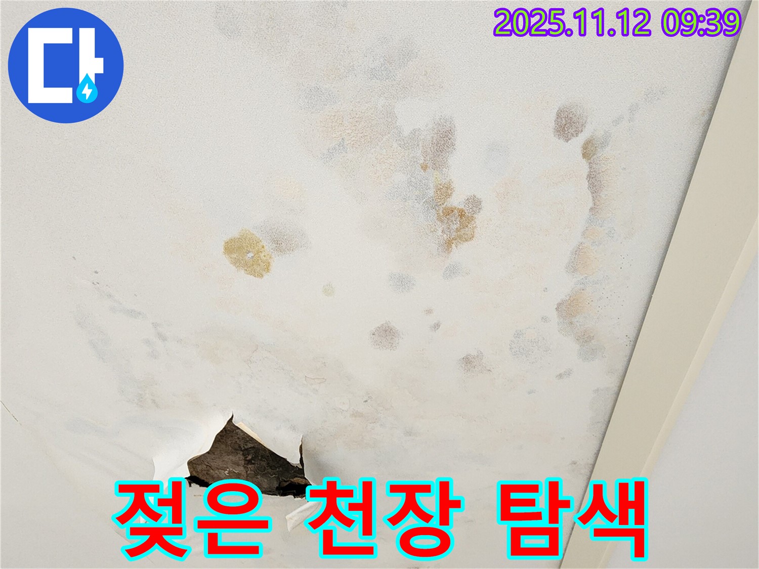 젖은 천장 - 첨단 장비 - 정확한 위치 탐색