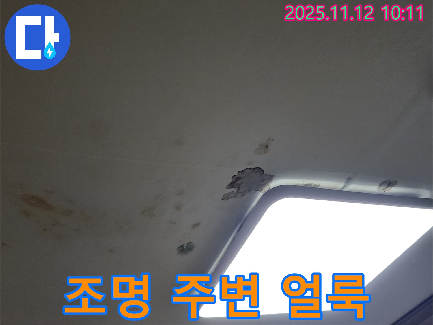 조명 주변 얼룩 - 윗집 누수 의심