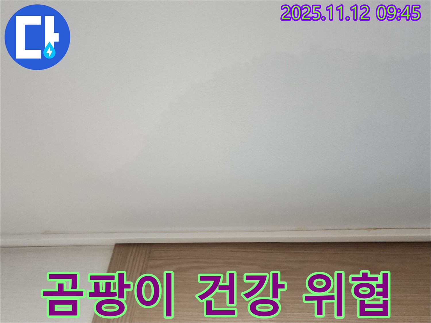 천장 누수와 곰팡이 - 건강을 위협합니다.