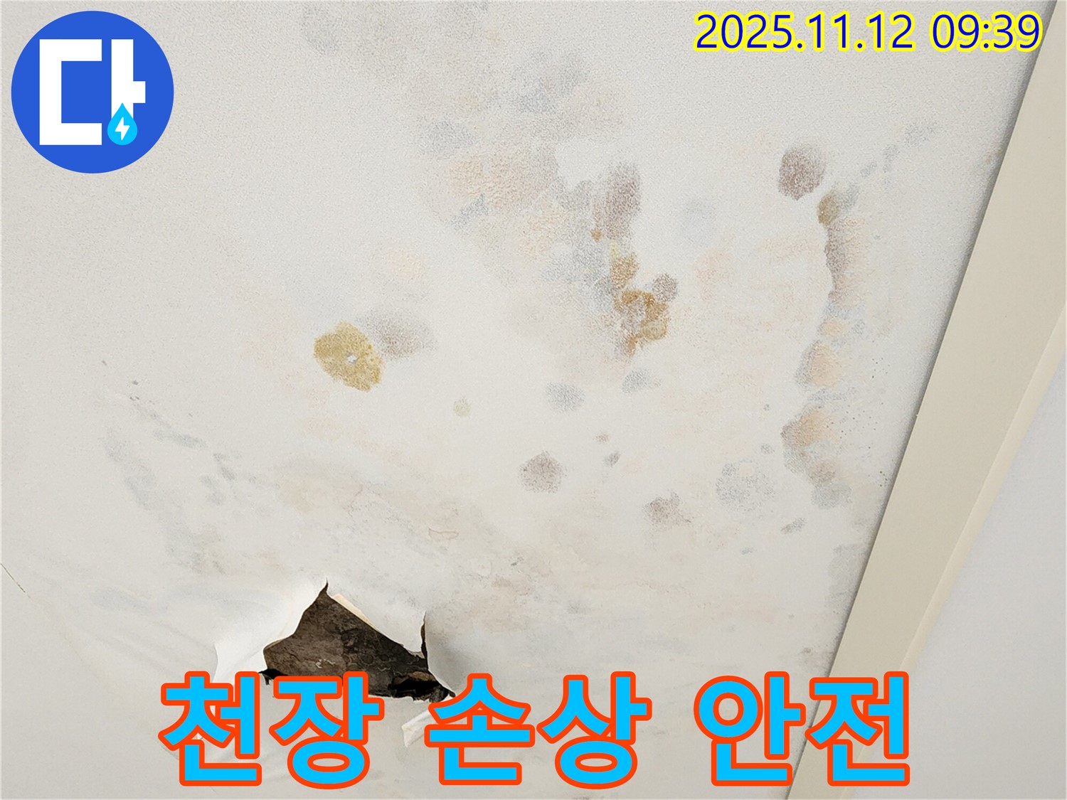 천장 손상 - 건물 안전 위협 - 긴급 점검