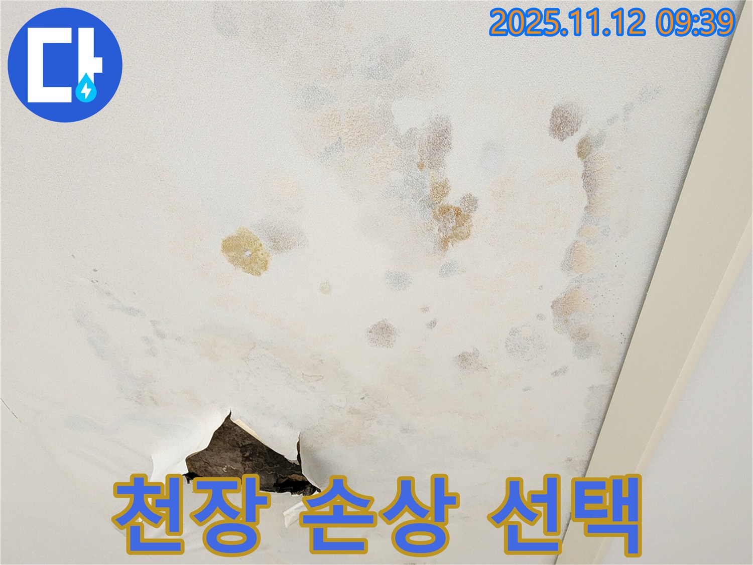 천장 손상 - 부분 수리 - 전체 교체