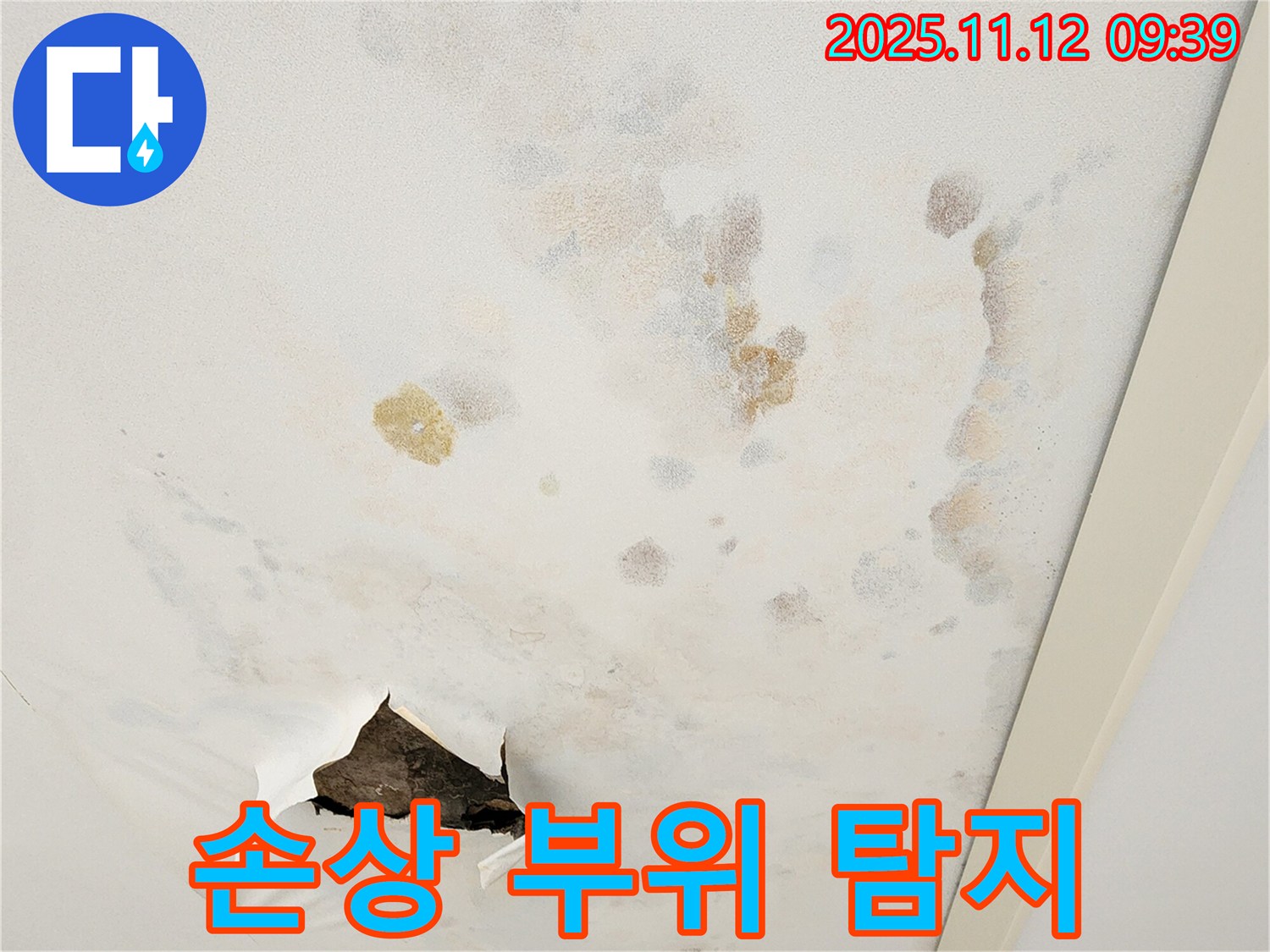 천장 손상 - 정밀 탐지 - 누수 위치 확인