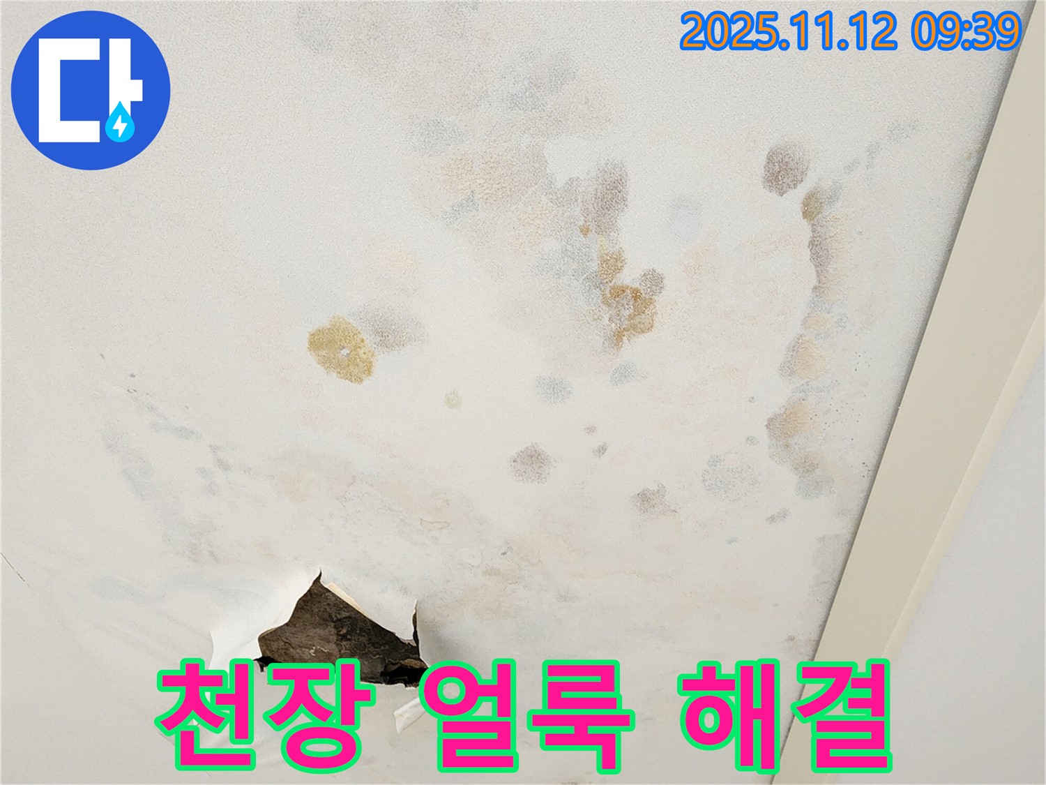 천장 얼룩 - 누수 진행 - 빠른 해결 필수