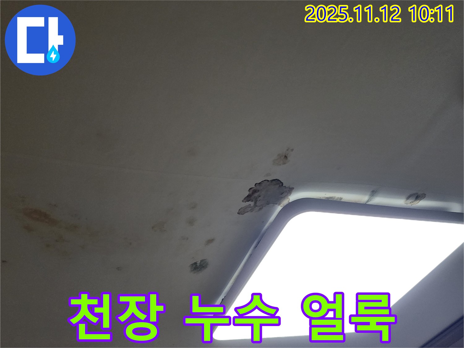 천장 얼룩 - 윗집 누수 의심