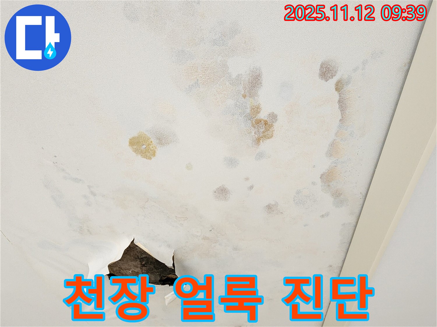 천장 얼룩 - 초기 증상 - 빠른 진단 중요