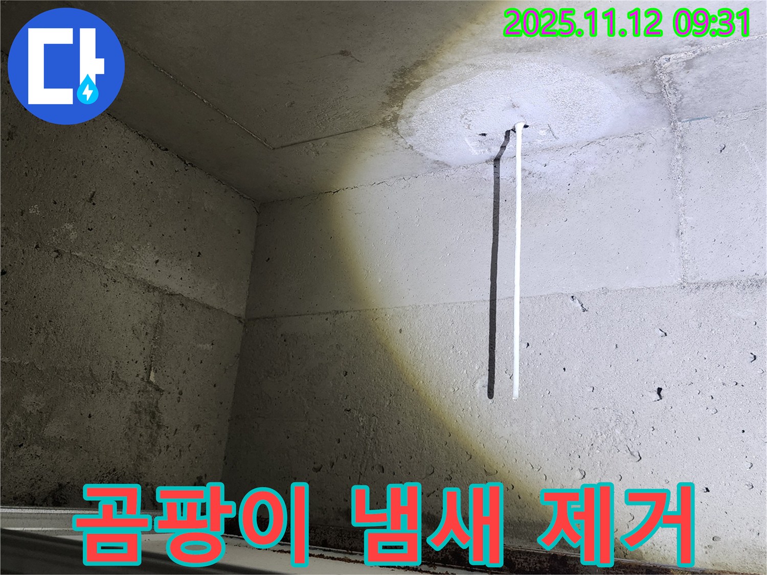 콘크리트 천장 - 곰팡이 냄새 제거 - 쾌적한 환경