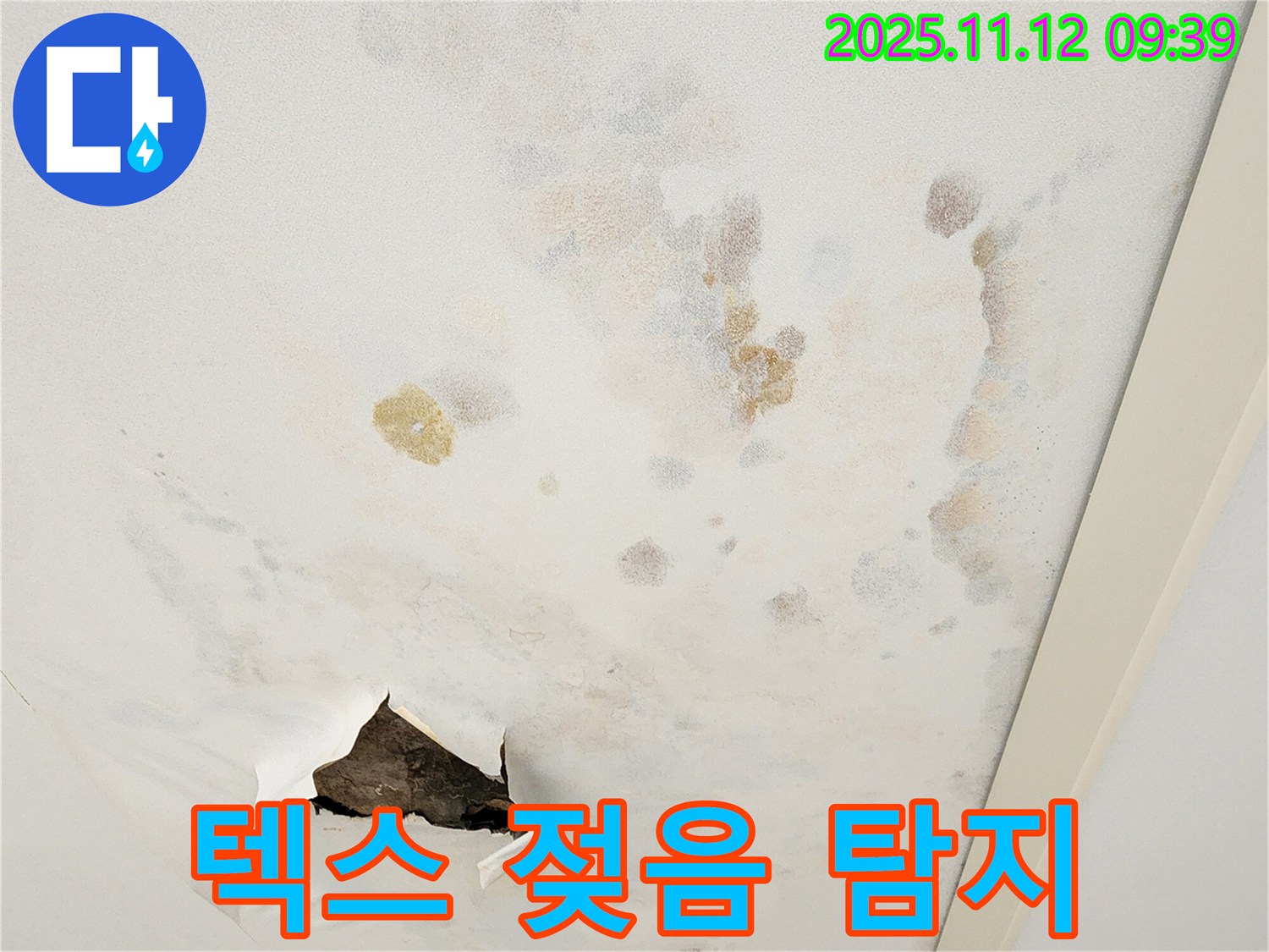 텍스 젖음 - 누수 지점 찾기 - 첨단 장비