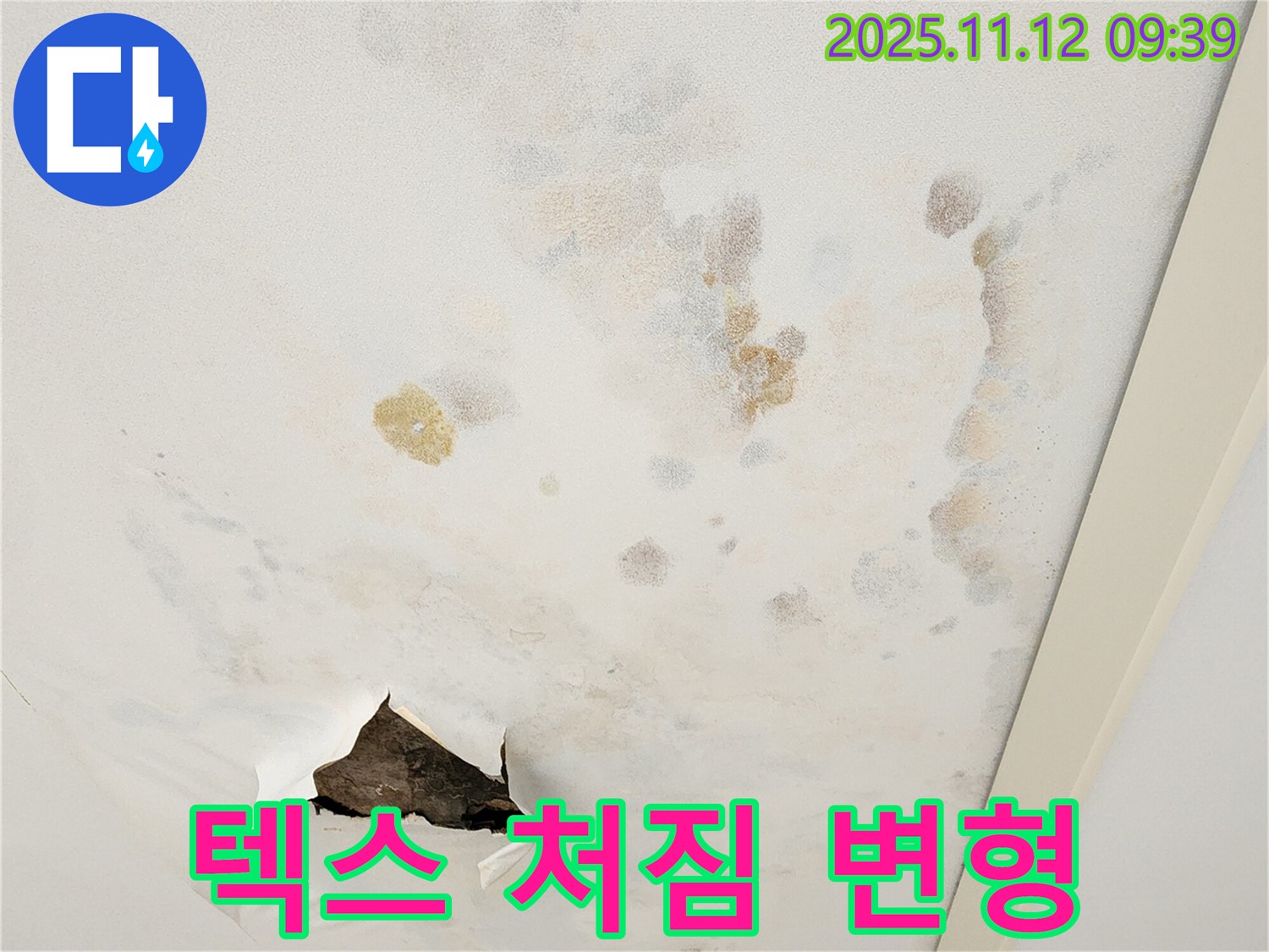 텍스 처짐 - 누수 변형 - 정밀 점검 필요