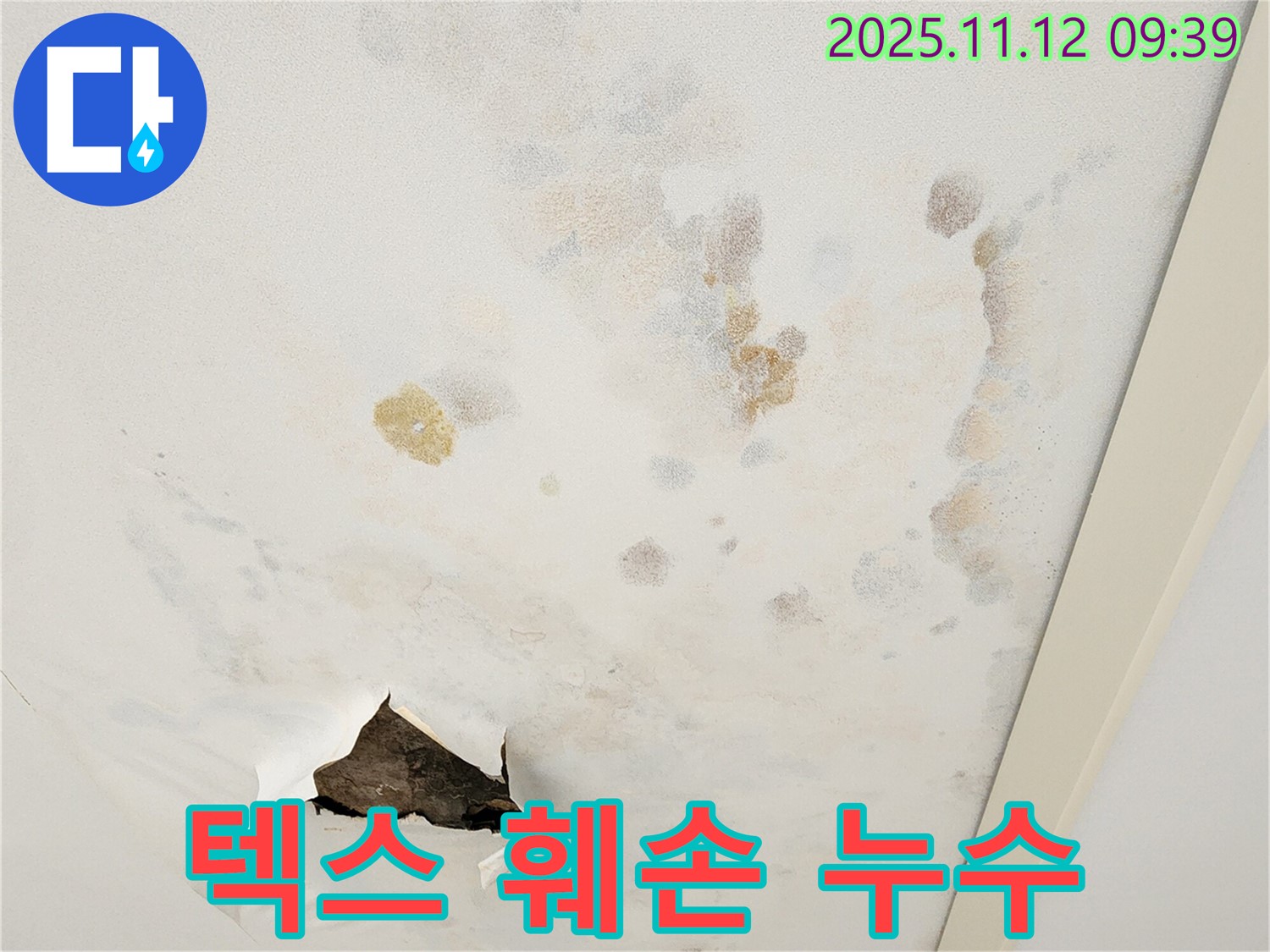 텍스 훼손 - 누수 흔적 - 꼼꼼한 점검