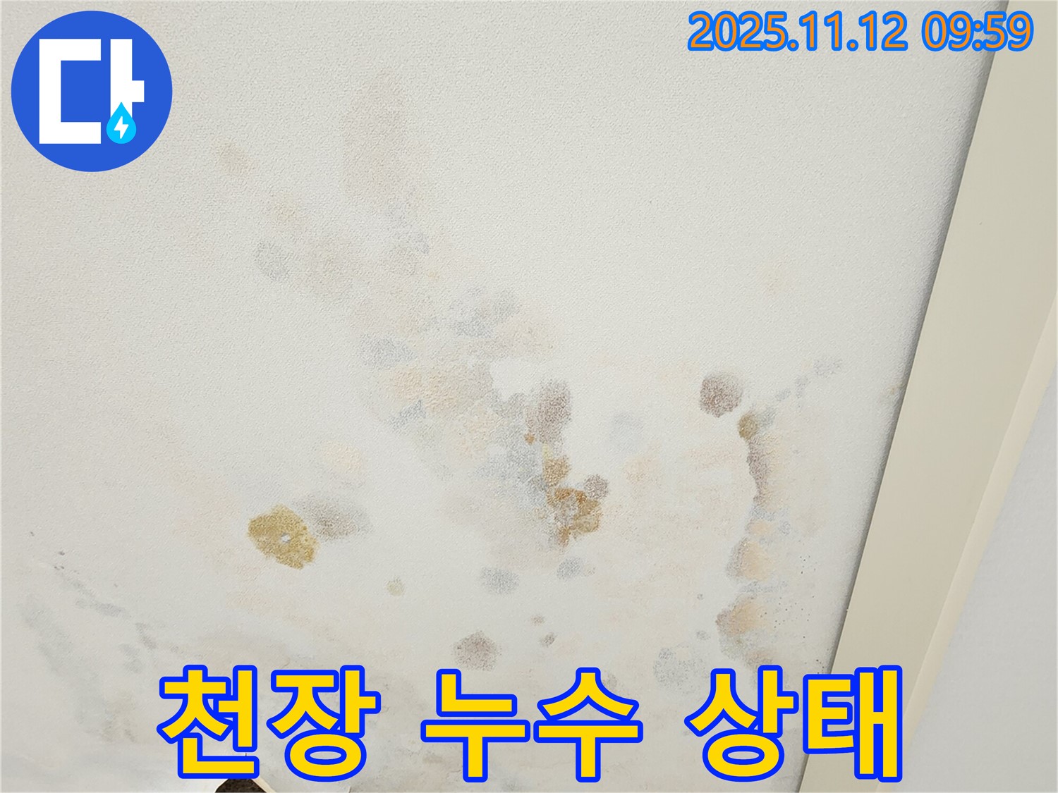 포천 누수 현장 - 천장 누수 상태