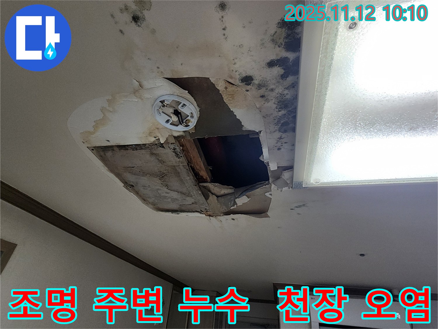 포천 소흘읍 누수 현장 - 천장 조명 주변 누수 및 천장 오염