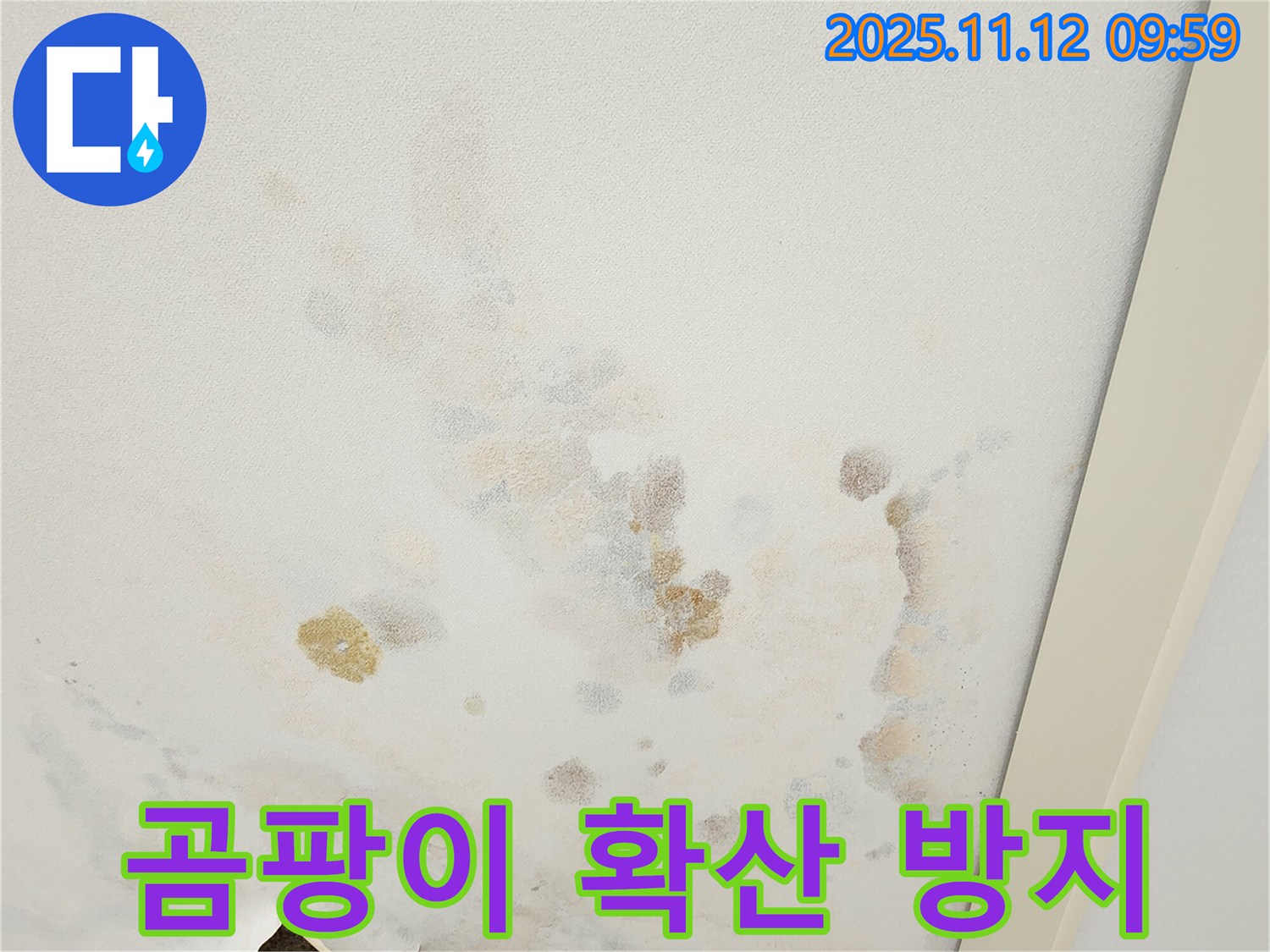 포천 소흘읍 무봉리 누수 현장 - 곰팡이가 핀 천장