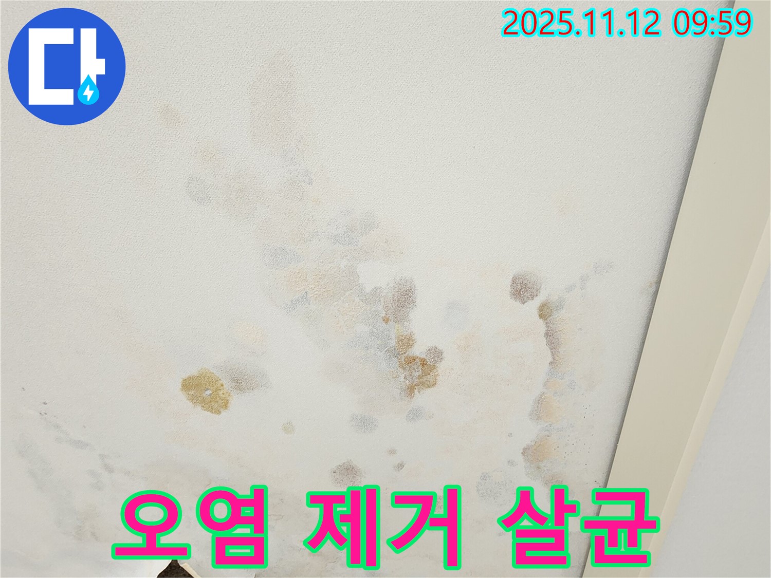 포천 소흘읍 무봉리 누수 현장 - 곰팡이로 오염된 천장