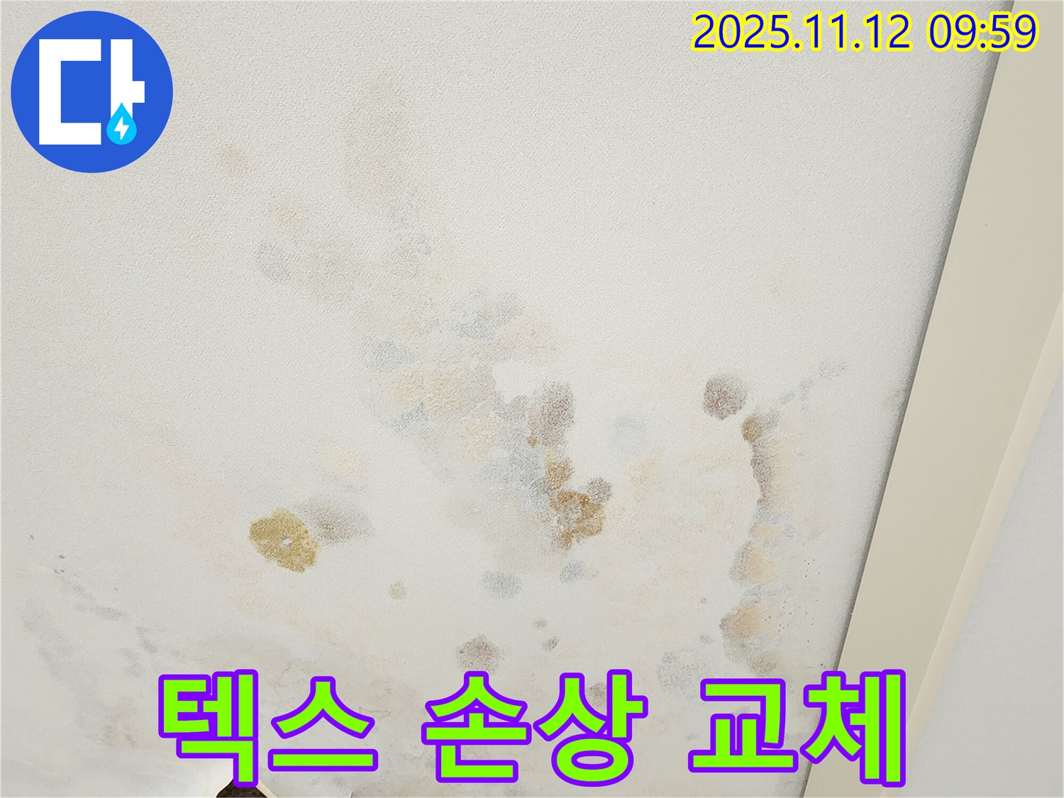 포천 소흘읍 무봉리 누수 현장 - 손상된 천장 텍스