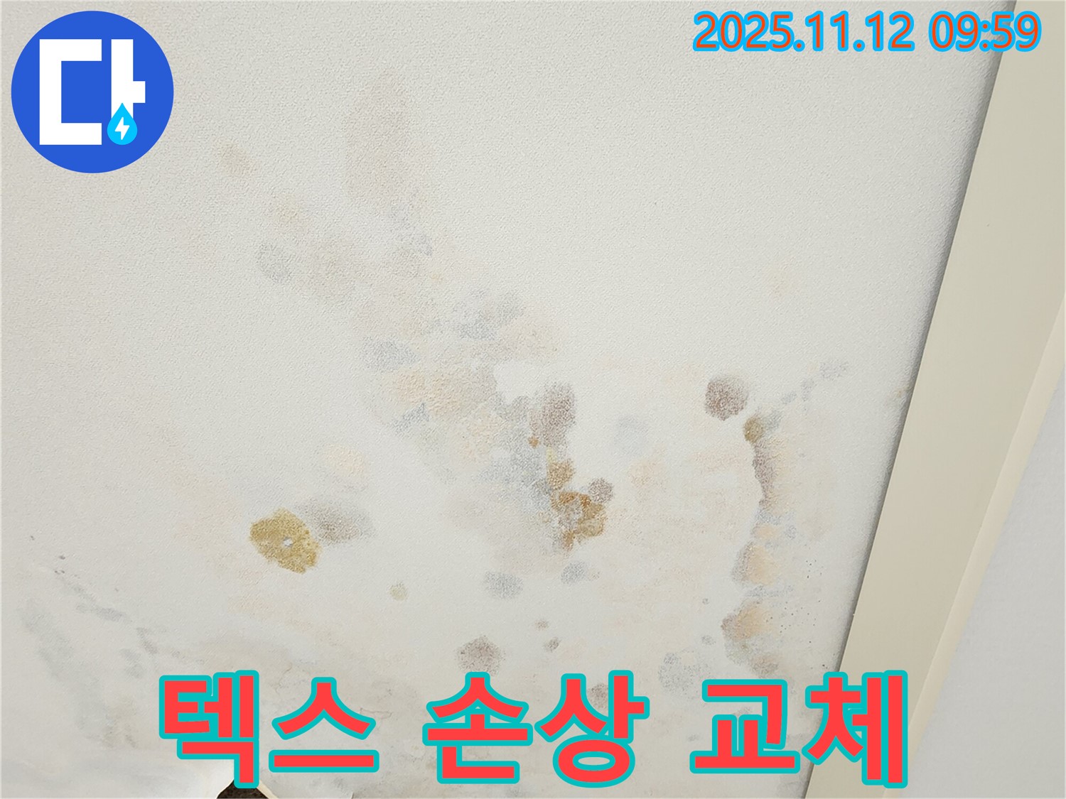 포천 소흘읍 무봉리 누수 현장 - 손상된 천장 텍스