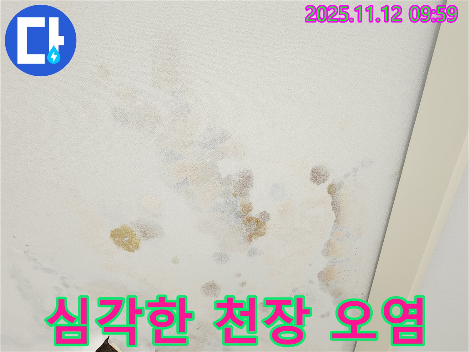 포천 소흘읍 무봉리 누수 현장 - 심각하게 오염된 천장