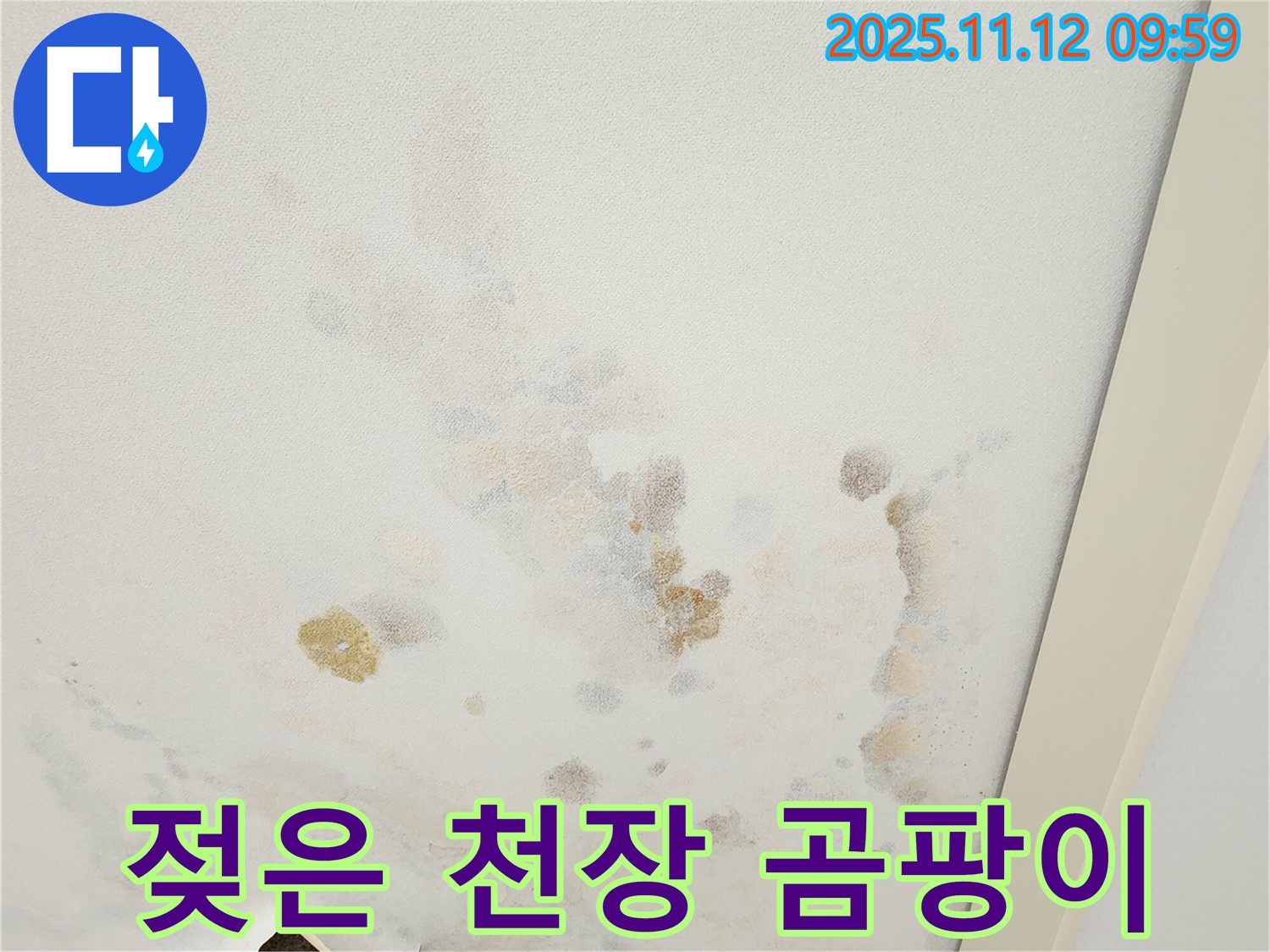 포천 소흘읍 무봉리 누수 현장 - 젖은 천장과 곰팡이