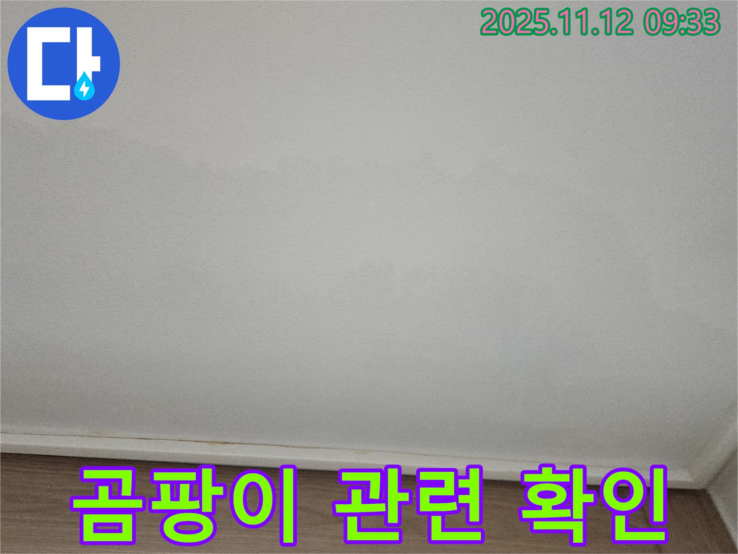포천 - 천장 곰팡이, 누수 관련성 확인 중