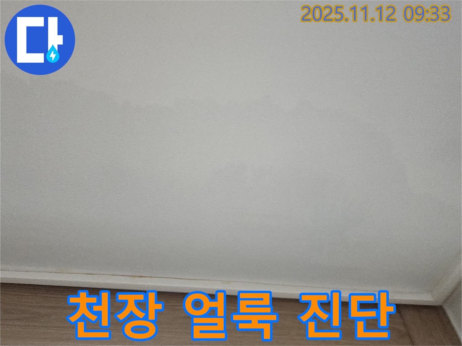 포천 - 천장 얼룩, 누수 가능성 상세 진단 진행 중