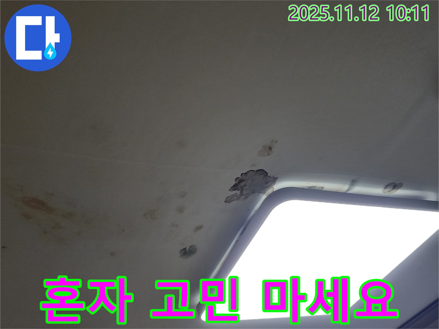혼자 고민 - 전문가 상담