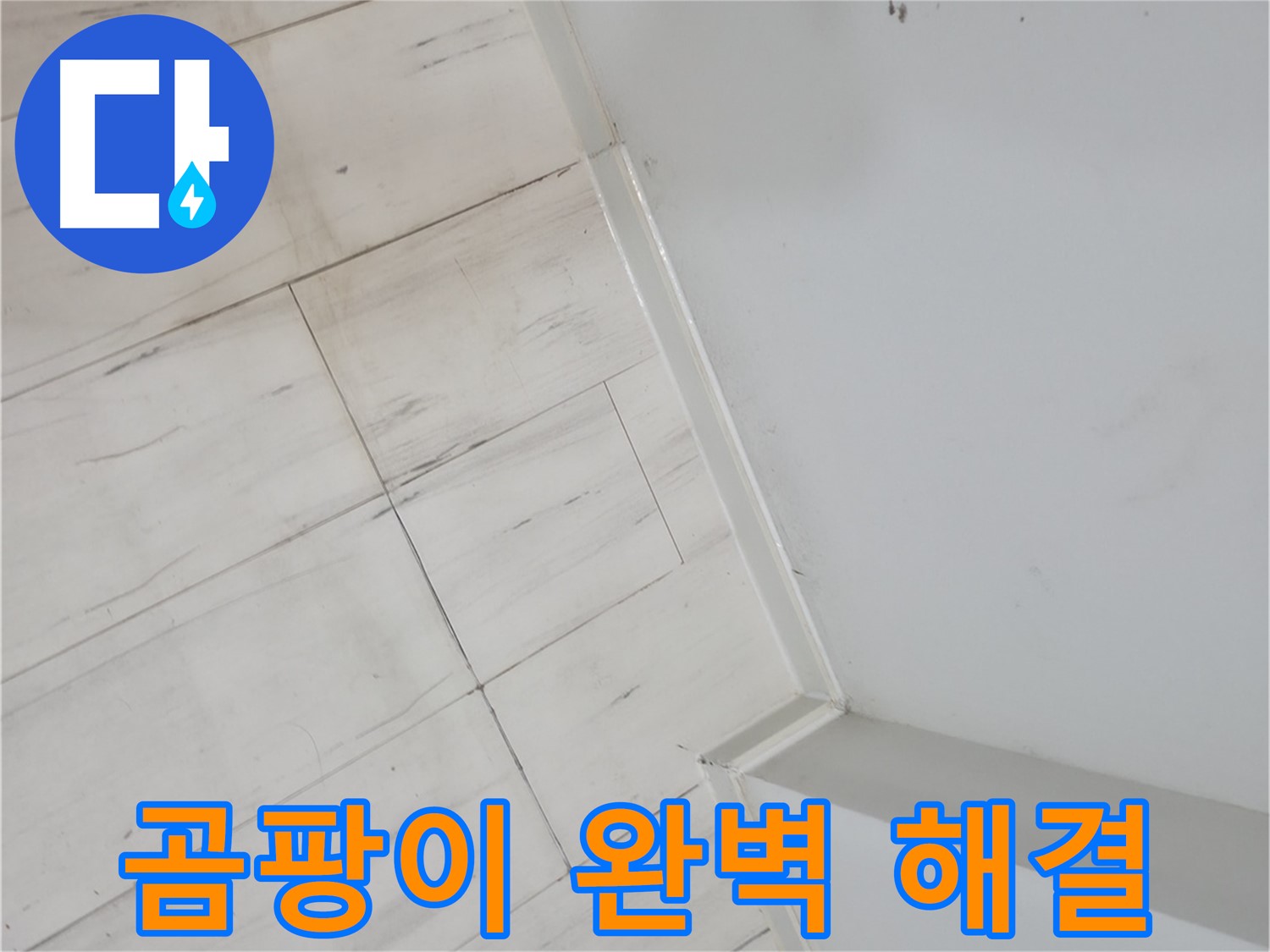 신림동 장판 밑 곰팡이 누수 - 누수 걱정 없는 편안한 생활 보장