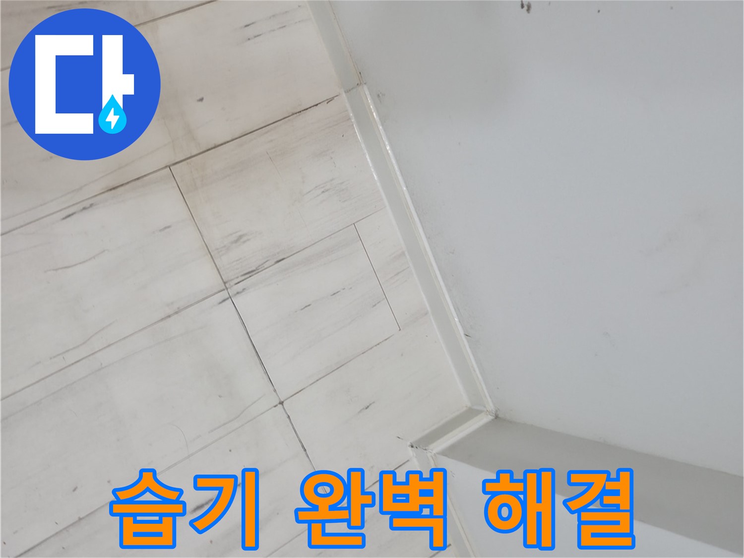 관악구 장판 밑 습기 누수 - 건물 가치 향상 및 쾌적한 환경 조성