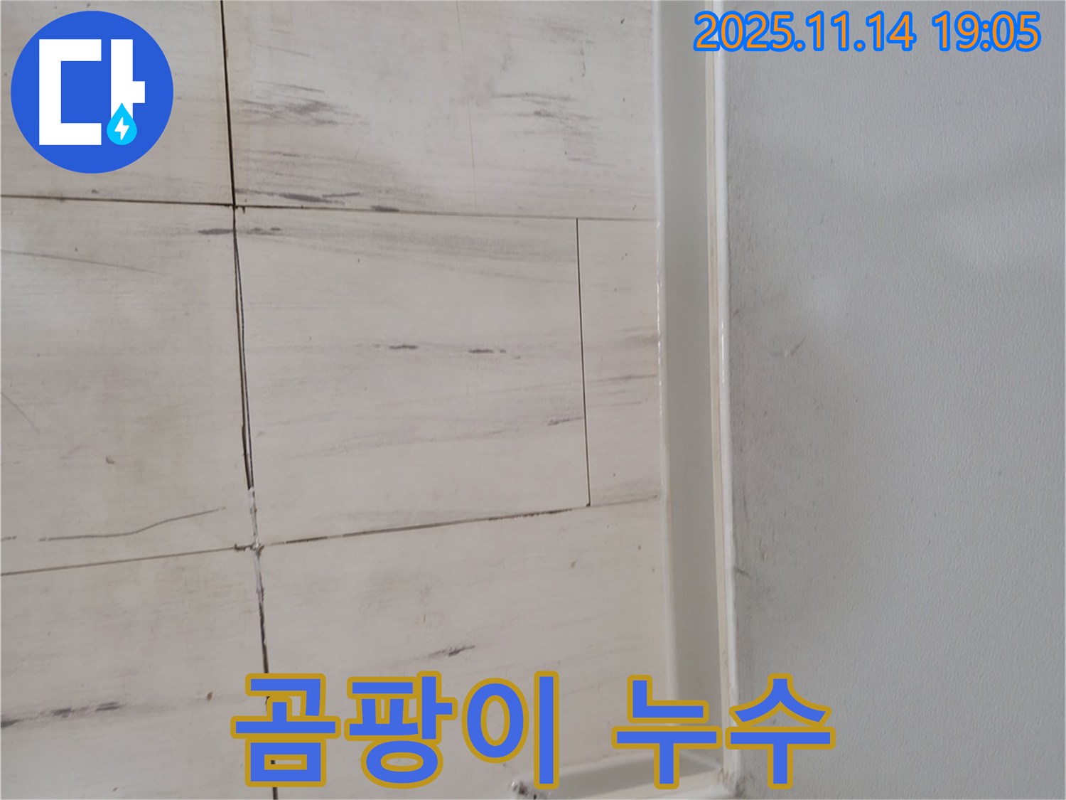 곰팡이 - 누수의 증거, 건강 위협