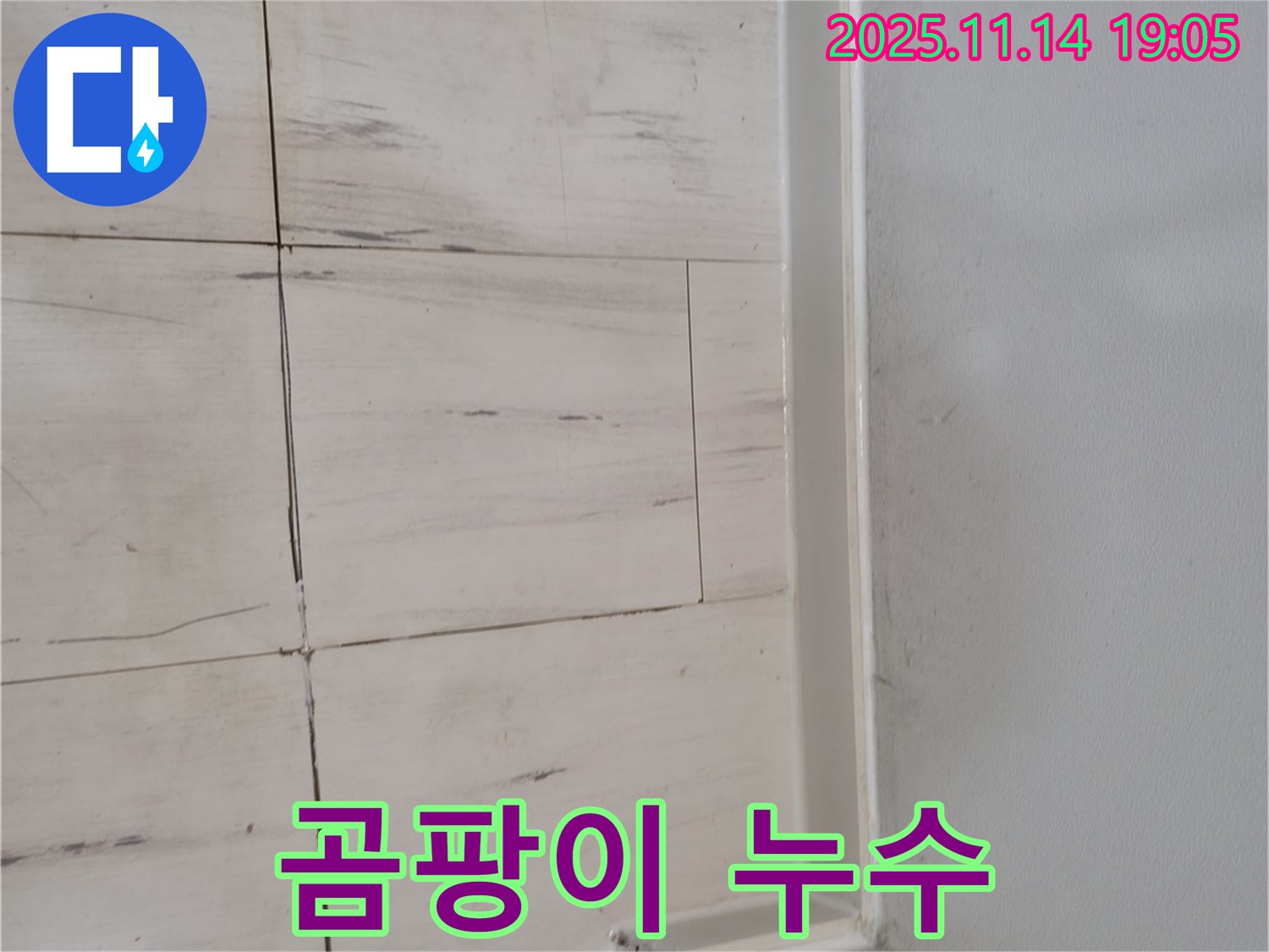 곰팡이 - 누수의 증거, 건강 위협