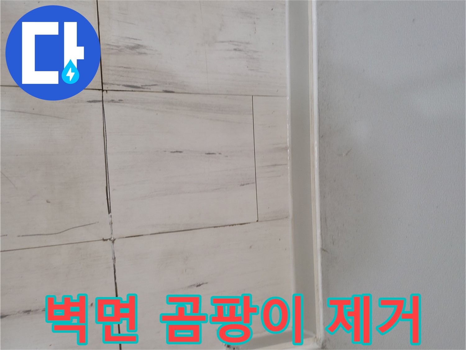 벽면 곰팡이 - 누수 해결