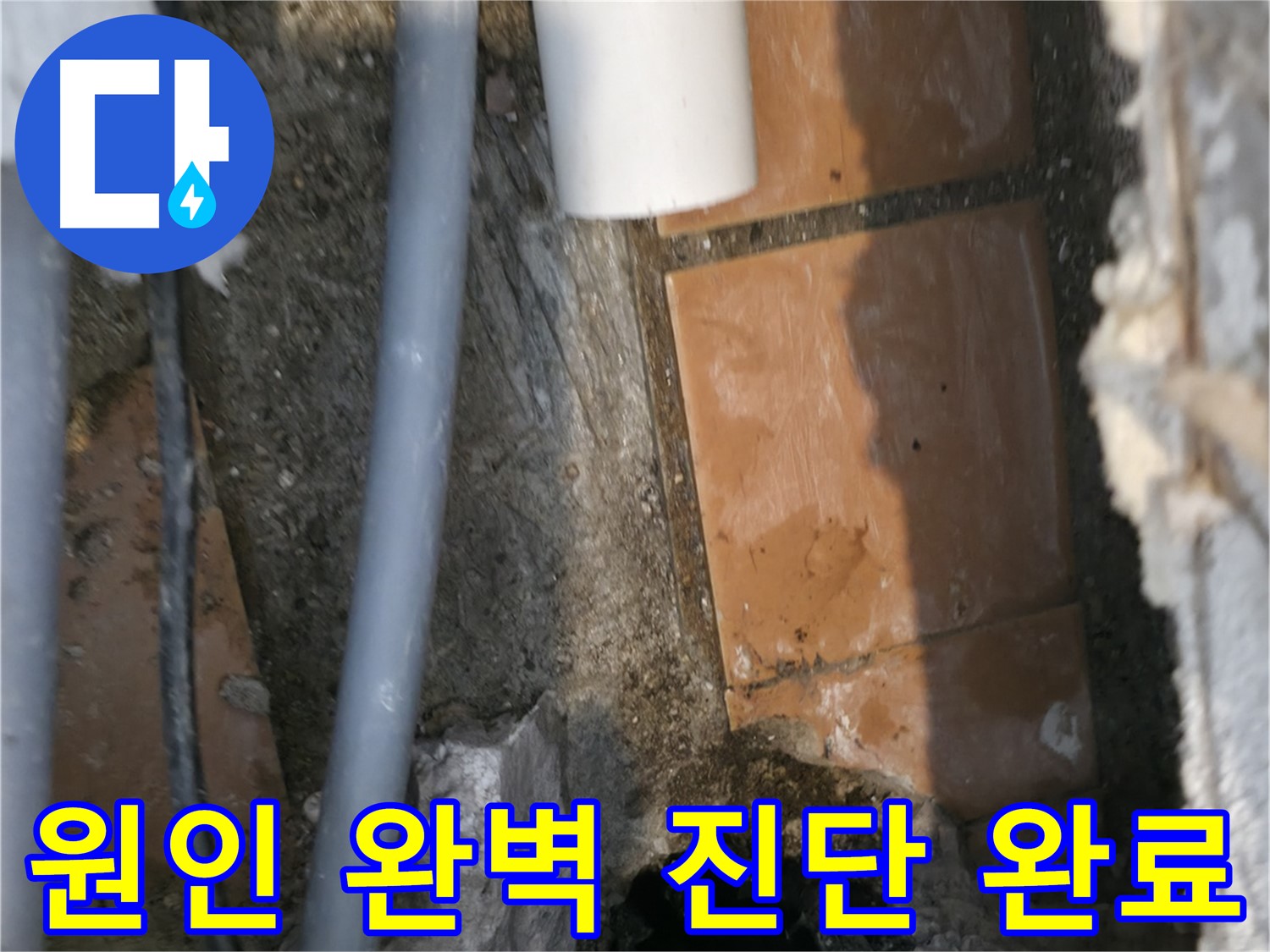 신림동 누수 - 누수 원인 완벽 진단 완료 - 이제 해결만 남았습니다