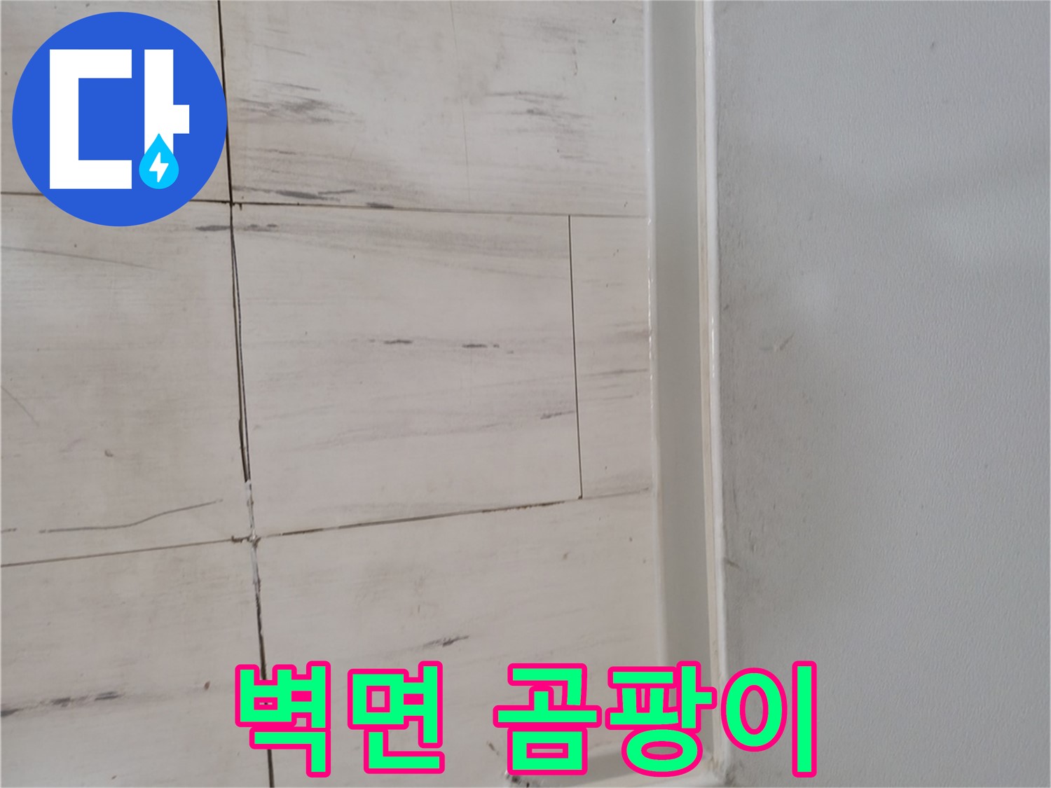 벽면 곰팡이 - 심각한 누수 상태