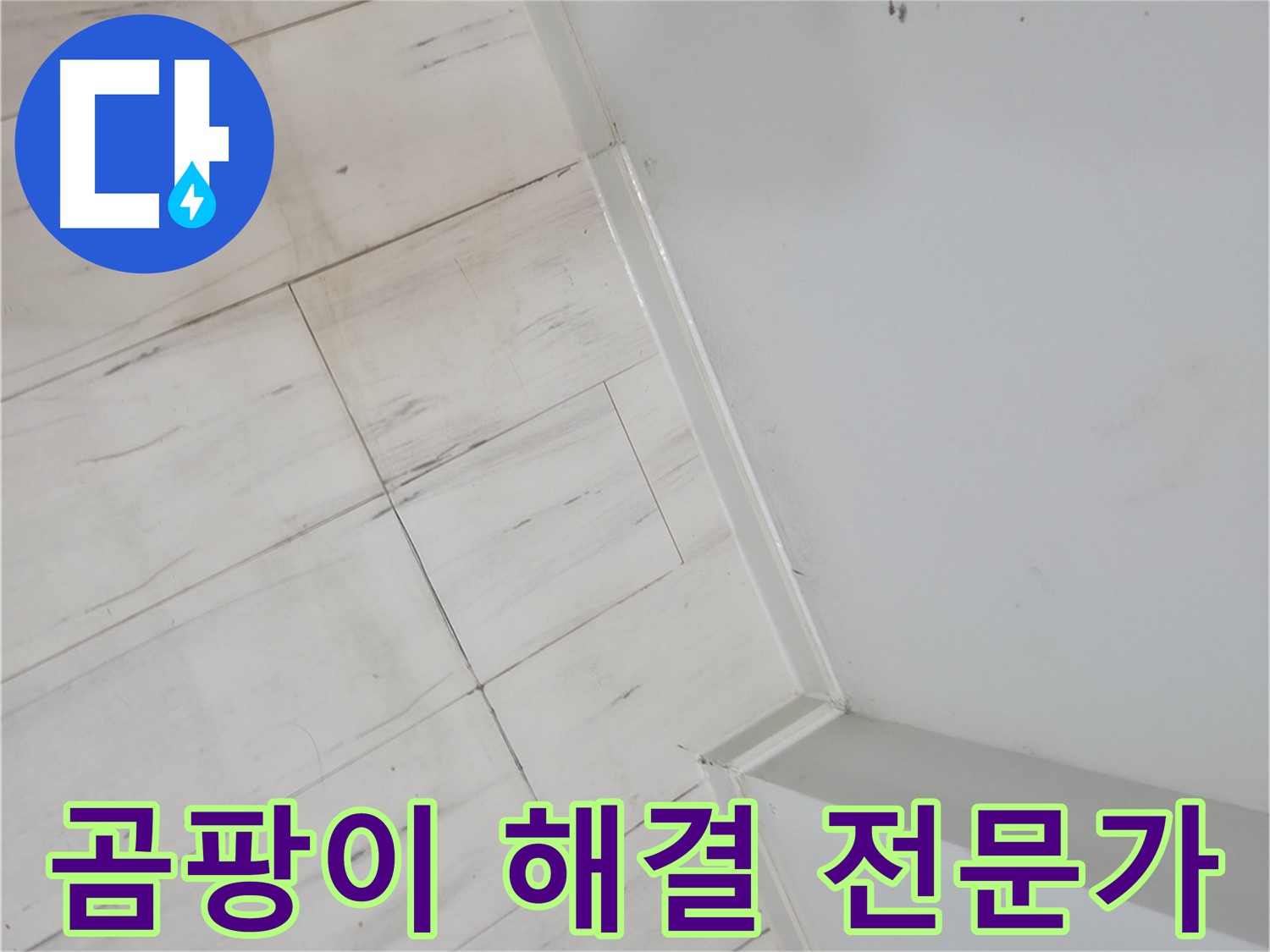 신림동 마루 틈새 곰팡이 누수 - 오랜 경험과 노하우의 전문가