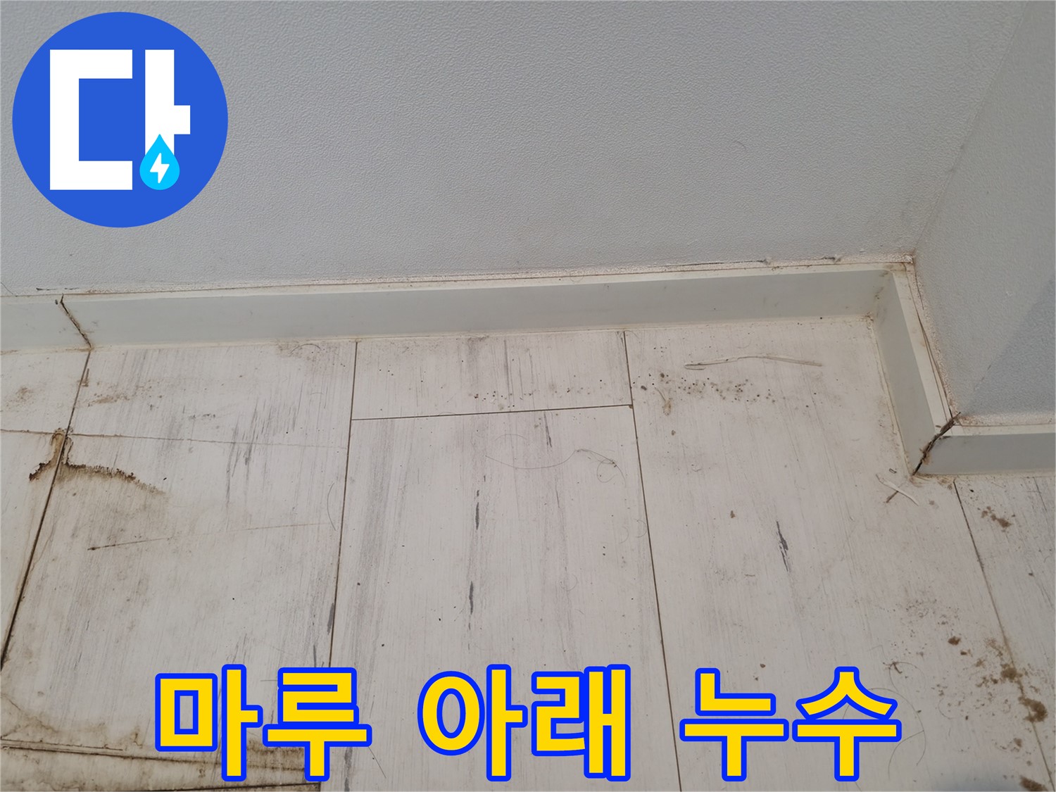 신림동 누수 - 마루 아래 숨은 누수 탐지 전문!