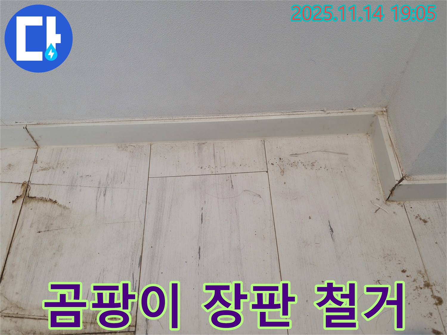 관악구 누수 - 곰팡이가 심하게 핀 장판, 긴급 철거!