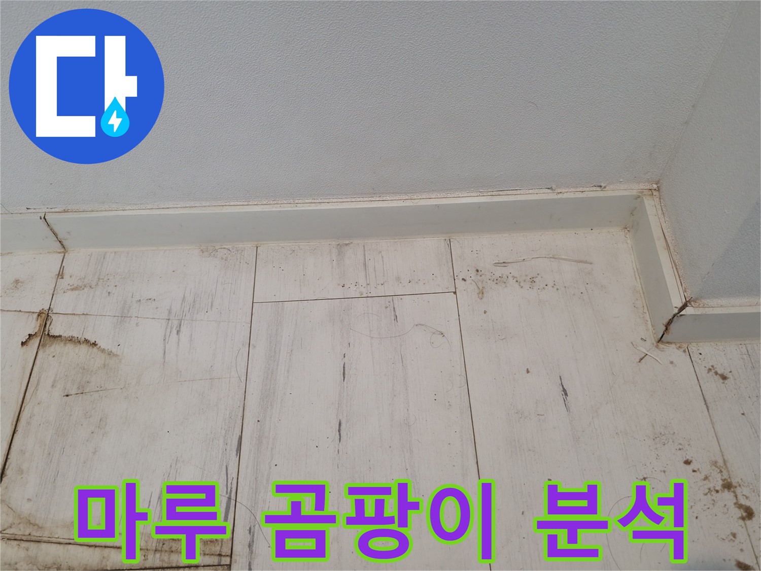관악구 누수 - 마루 곰팡이 분석 - 누수 연관성 확인