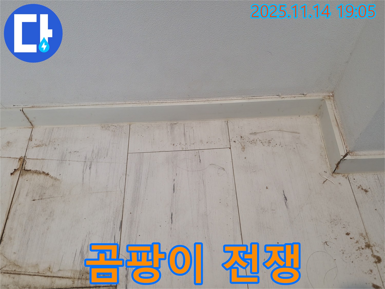 신림 누수 - 젖은 장판, 곰팡이와의 전쟁을 선포합니다!