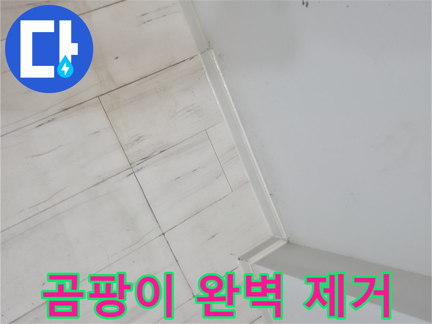 신림동 빌라 마루 틈새 곰팡이 누수 - 누수 걱정 없는 편안한 생활