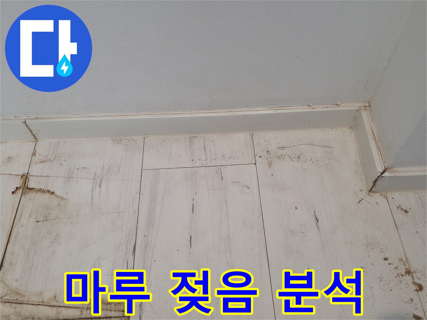 관악구 누수 - 마루 젖음 원인 꼼꼼하게 분석