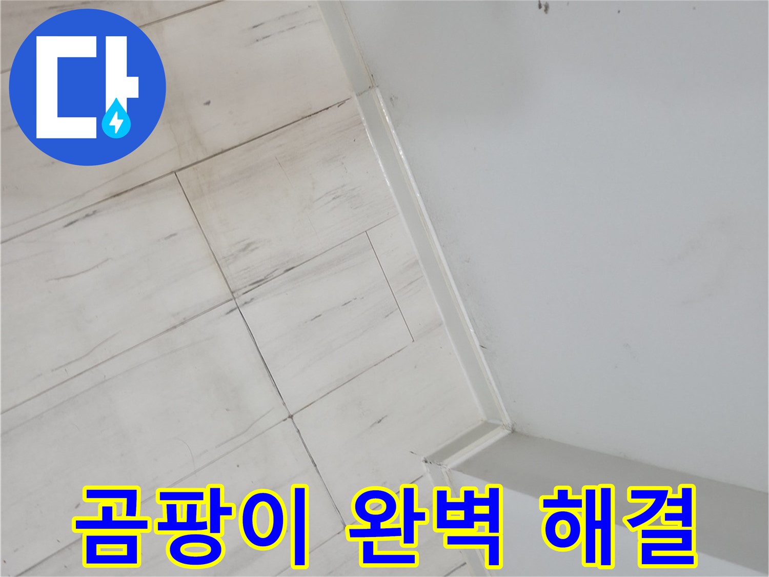 신림동 마루 틈새 곰팡이 누수 - 누수 걱정 없는 편안한 생활 보장
