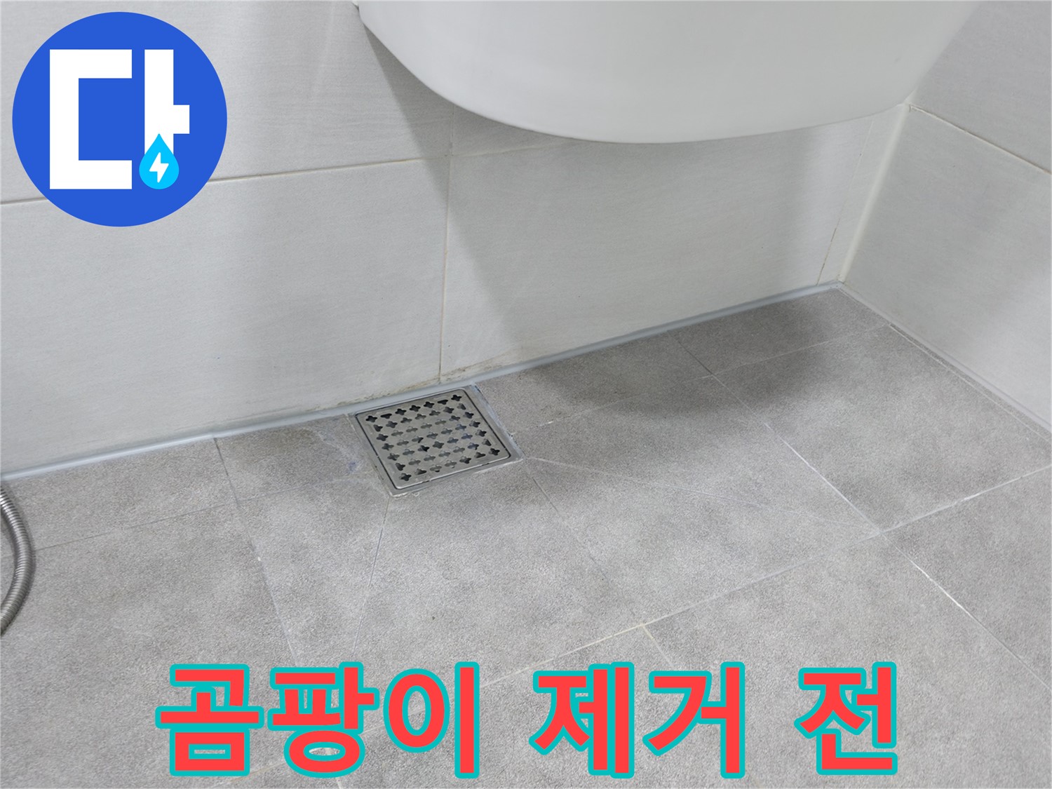 욕실 곰팡이 - 심각한 곰팡이 발생 상태