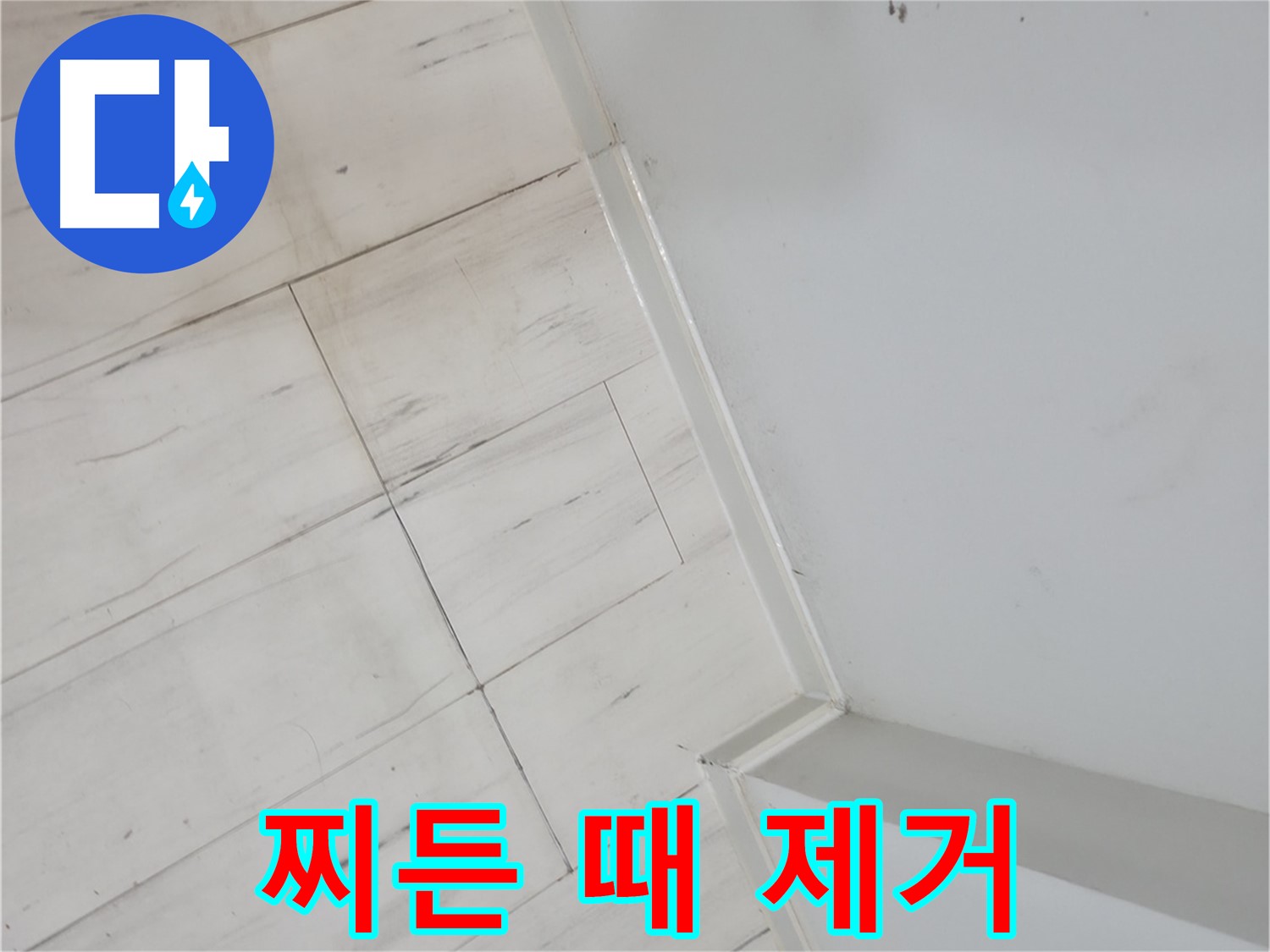 신림동 장판 찌든 때 누수 안전 위협 예방